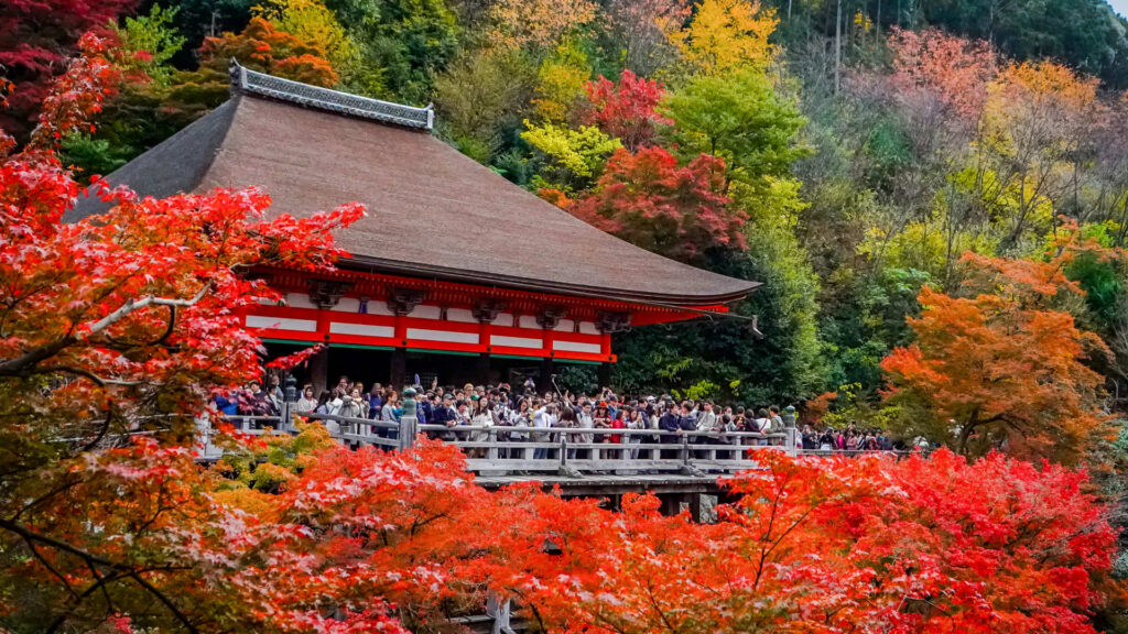 Inbound travel to Japan remains high in the off-peak autumn months