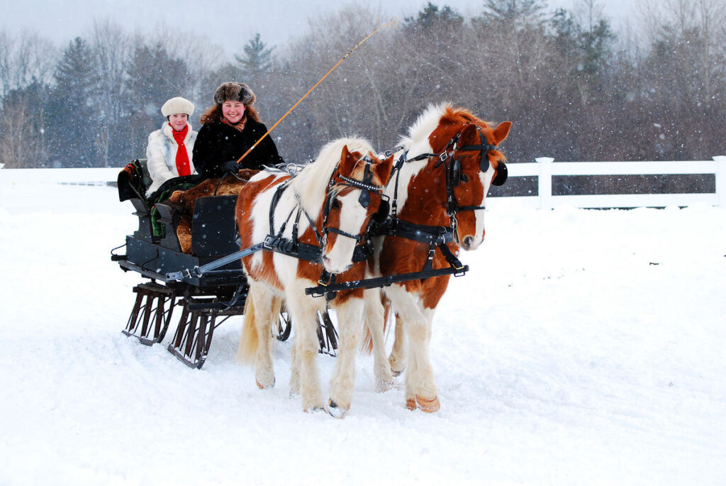 The Best Holiday Travel Destination in Each State