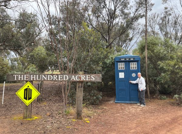 TARDIS Bus Shelter – Narrogin, Australia