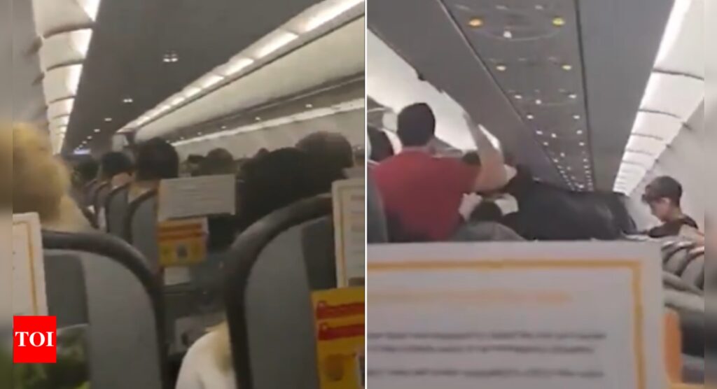 Watch: Passengers scream as Pegasus airlines flight hit by storm in terrifying video