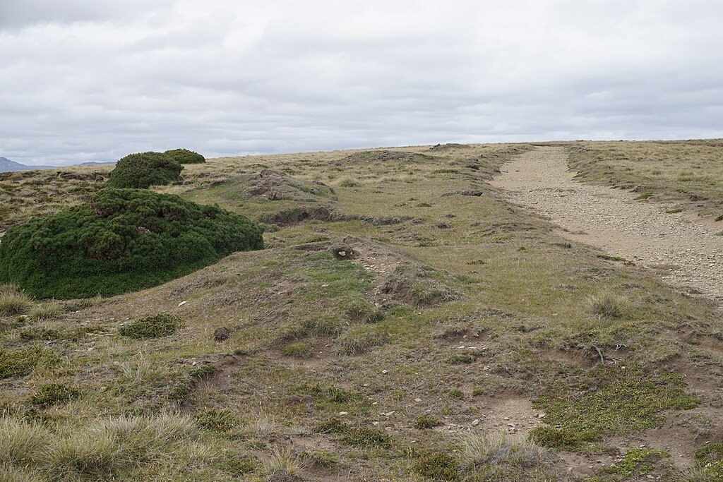 Falklands War: What Happened During the Battle of Goose Green? — History is Now Magazine, Podcasts, Blog and Books