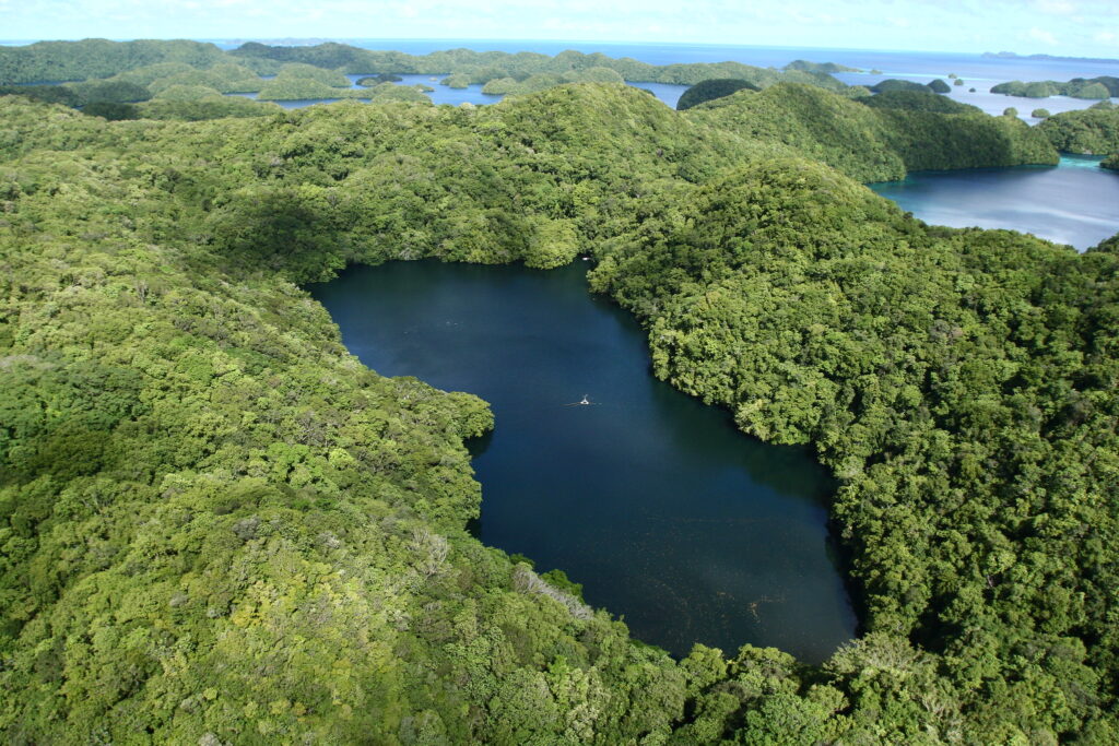 Hardly an inducement: tourism from China gets up Palau’s nose