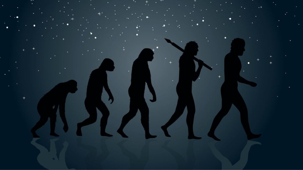 stock image showing evolution of humans