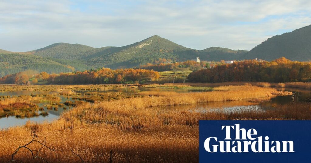 The Basque Country nature reserve at risk from Guggenheim expansion plans | Basque country holidays