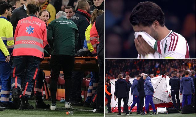 Hungary coach collapses in the dugout during Nations League clash against Netherlands as match is suspended with Liverpool star Dominik Szoboszlai left in tears