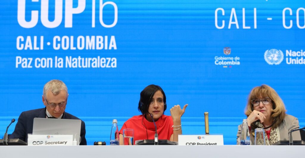 COP16 biodiversity summit, Cali, Colombia: A groundbreaking new plan to make companies pay for DSI