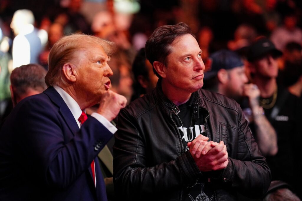 Donald Trump and Elon Musk at a UFC fight