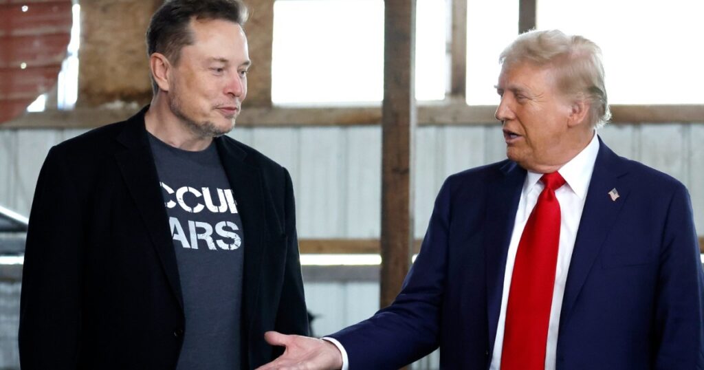 Yes, Donald Trump Has Asked Elon Musk To Help US Government