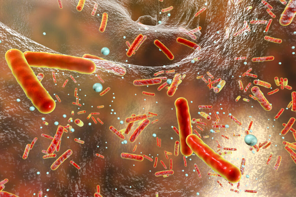 'Achilles heel' of antibiotic-resistant bacteria discovered in life-saving breakthrough