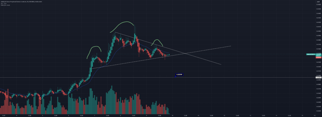 Head and Shoulders Pattern Confirmed? for PHEMEX:1000CATUSDT.P by TrendShredder — TradingView