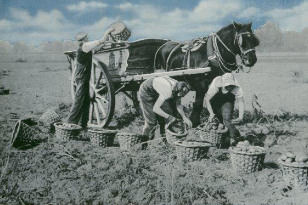 300,000 farm records going online, thanks to grant from Lund Trust