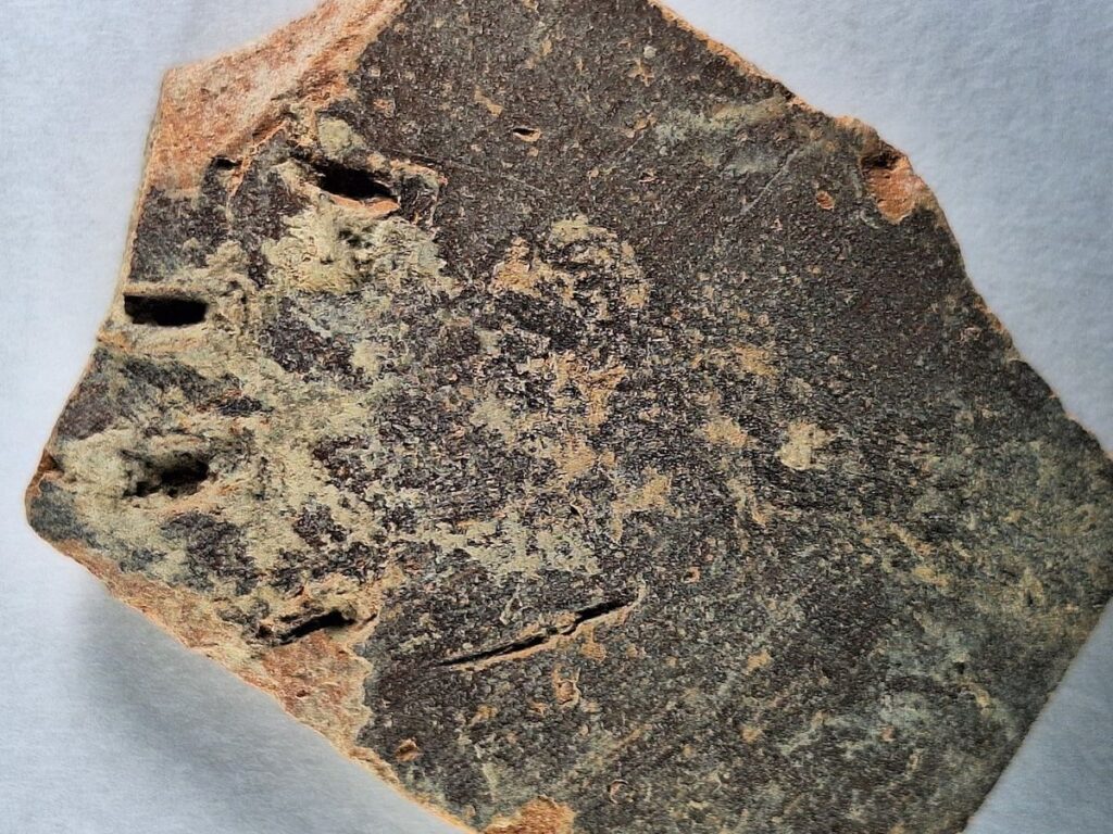 This Ancient Paw Print on a Pottery Fragment in Jerusalem Is the Oldest Known Evidence of a Cat Kneading