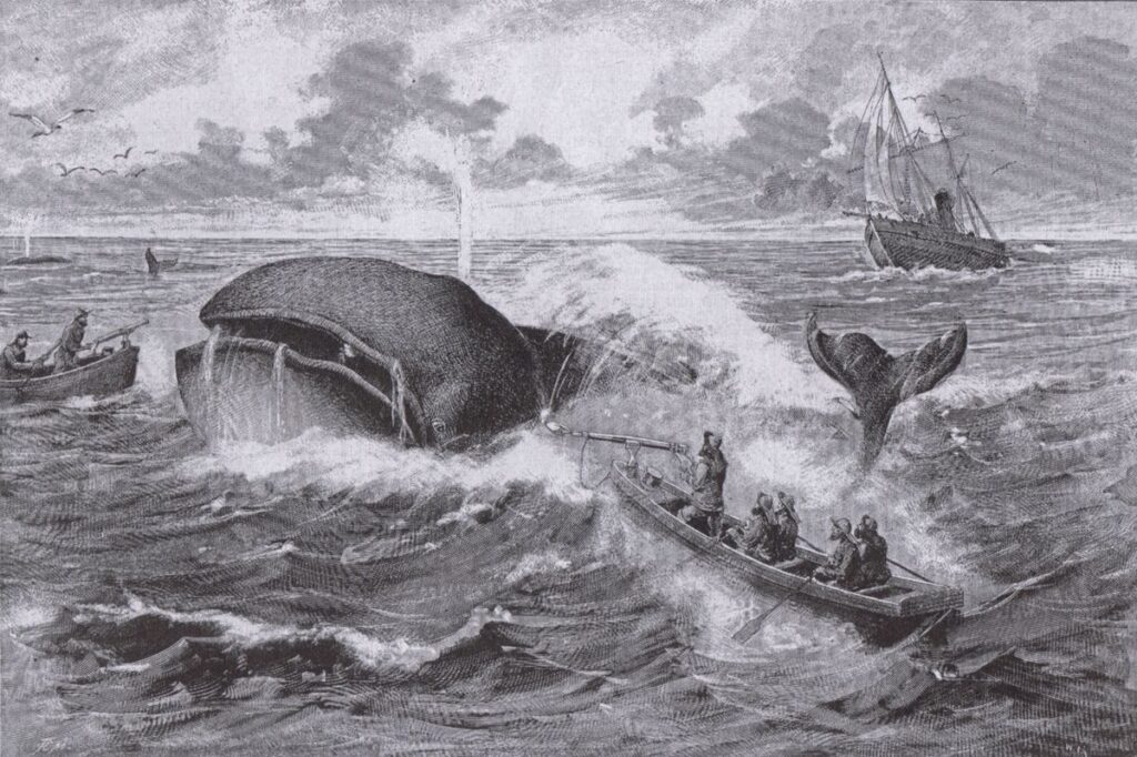 Herman Melville's Great American Novel, 'Moby-Dick,' Only Got Mixed Reviews When It First Hit Bookstores