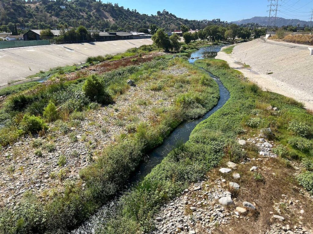 How the Arrival of an Endangered Bird Indicates What’s Possible for the L.A. River