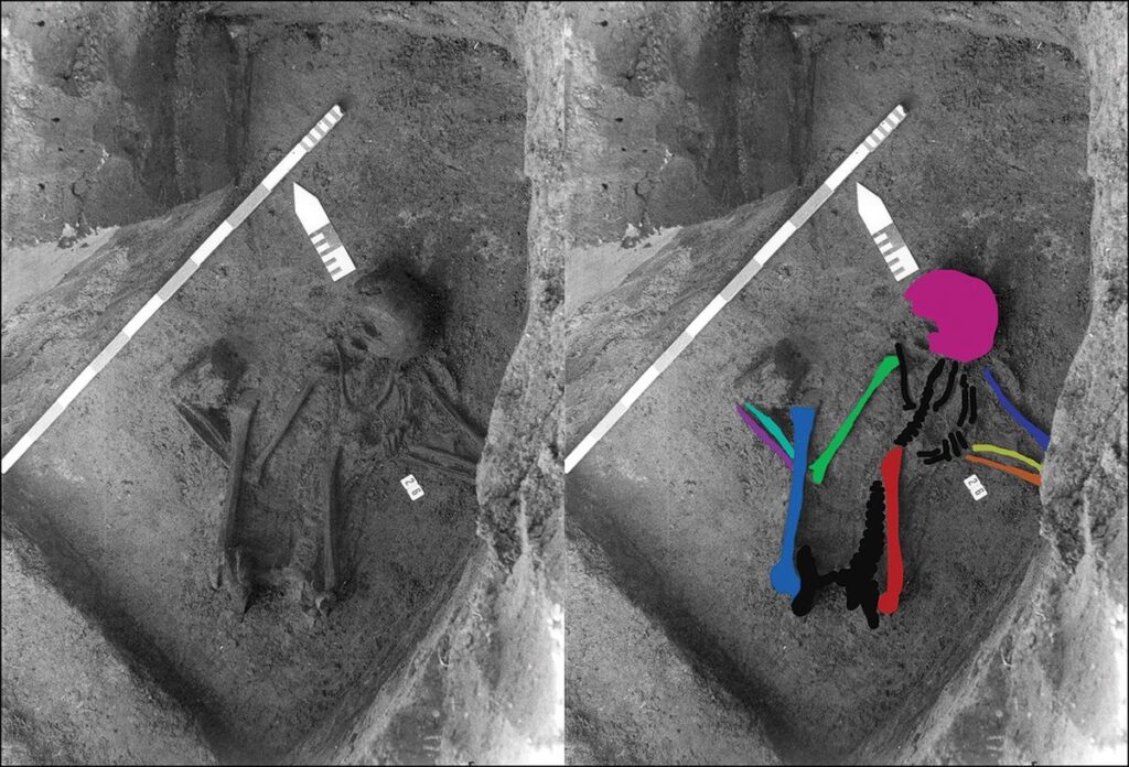 Archaeologists Are Bewildered by a Skeleton Made From the Bones of at Least Eight People Who Died Thousands of Years Apart