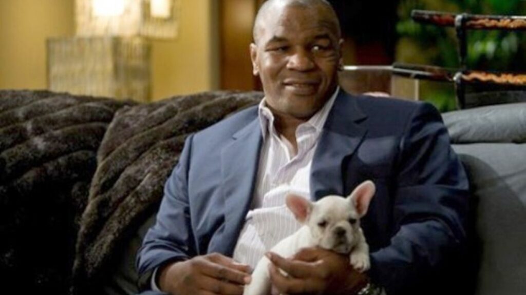 Mike Tyson Didn't Realize He Was Going To Cameo In The Hangover