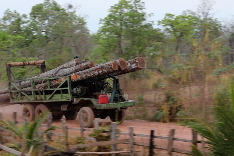 Illegally logged wood from Cambodia likely ending up in U.S. homes