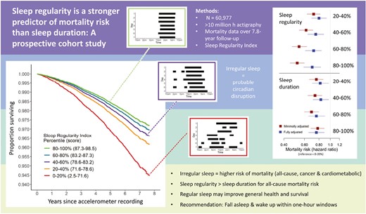 Sleep regularity is a stronger predictor of mortality risk than sleep duration: A prospective cohort study | SLEEP