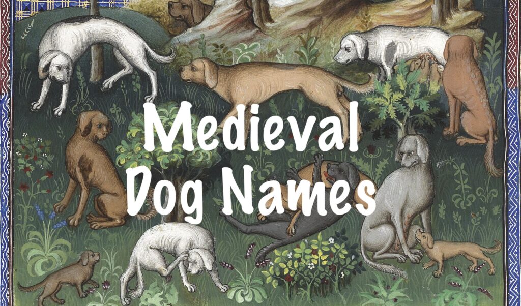 1,065 Unique Dog Names from the Middle Ages