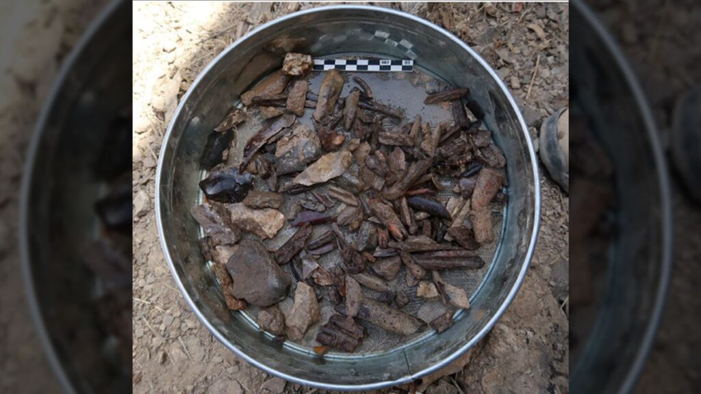 metal pan containing stone tools and artifacts from Tajikistan, 150,000 to 20,000 years old.