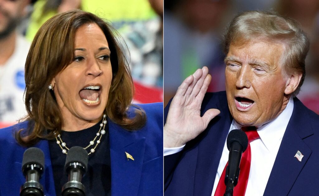 What If The US Election Ends In A Trump-Kamala Harris Tie?