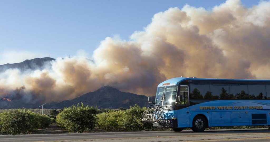 Wildfire smoke is polluting California, New York and beyond. Protect yourself