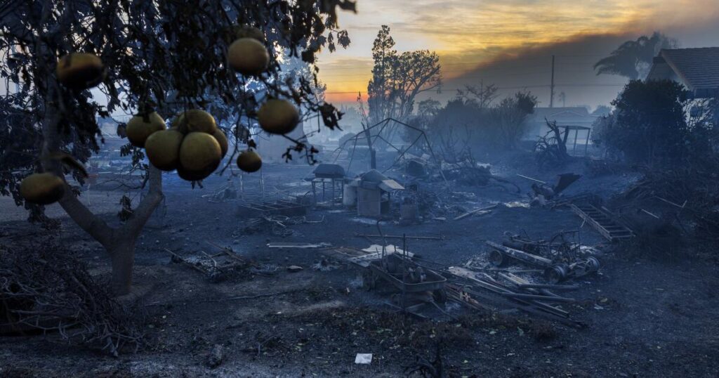 2 weeks after they inherited a home, the Mountain fire happened