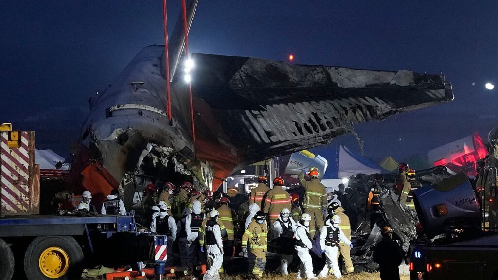 A bird strike may have caused South Korea plane crash, official says