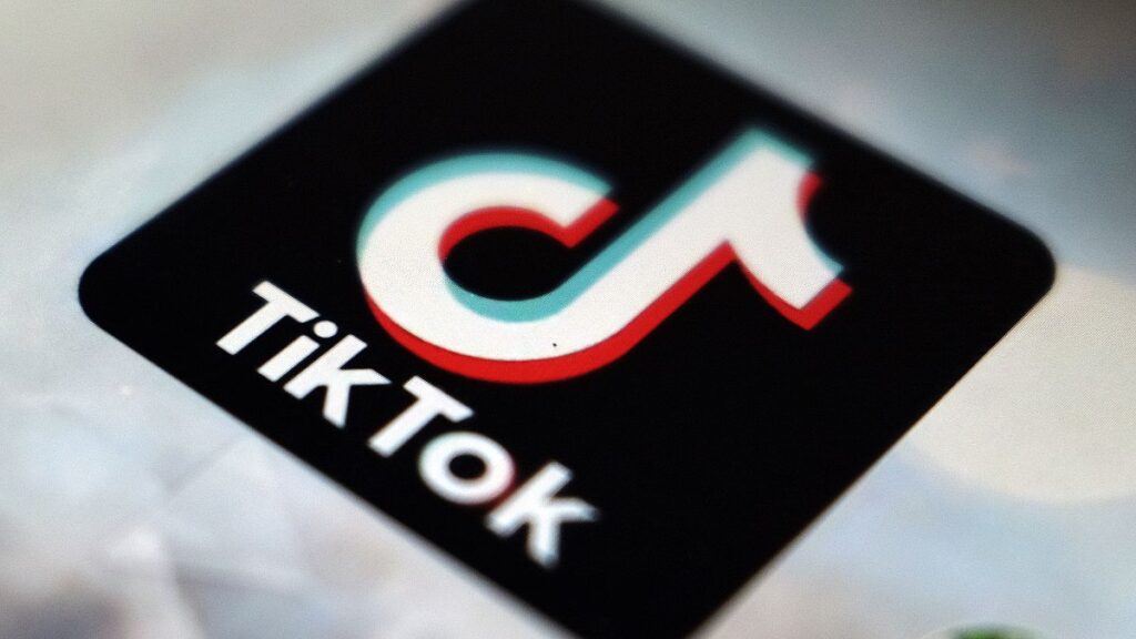 Albania's one-year TikTok ban met with anger among video platform's young users