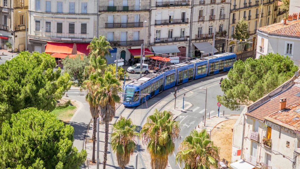 This European city made public transport free a year ago. Here’s what happened next