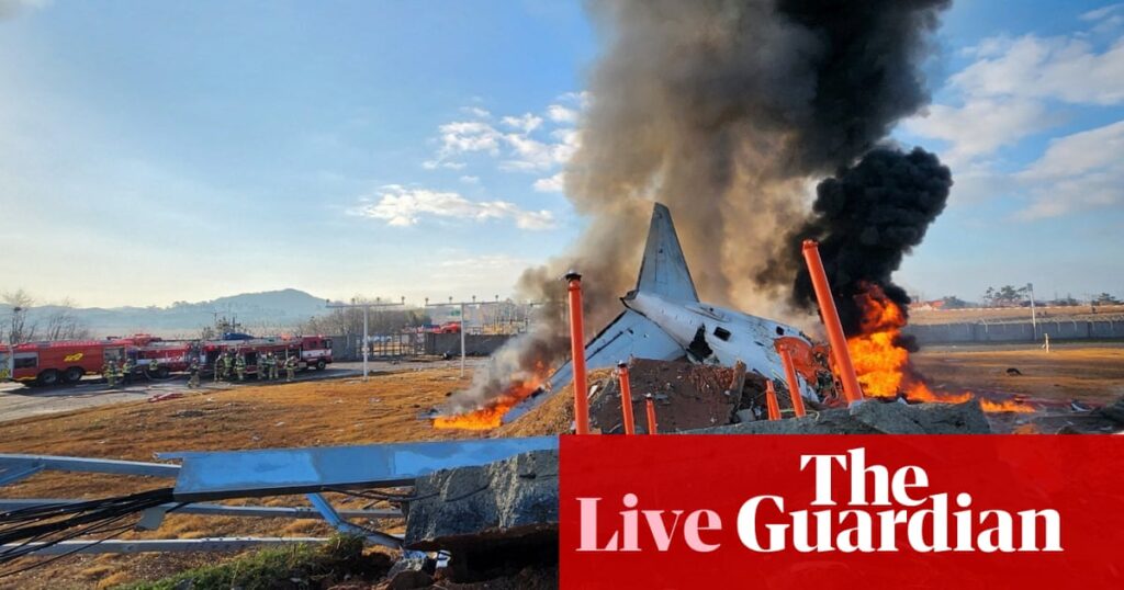 South Korea plane crash: air traffic controllers warned about bird strike minutes before accident feared to have killed 176 | South Korea