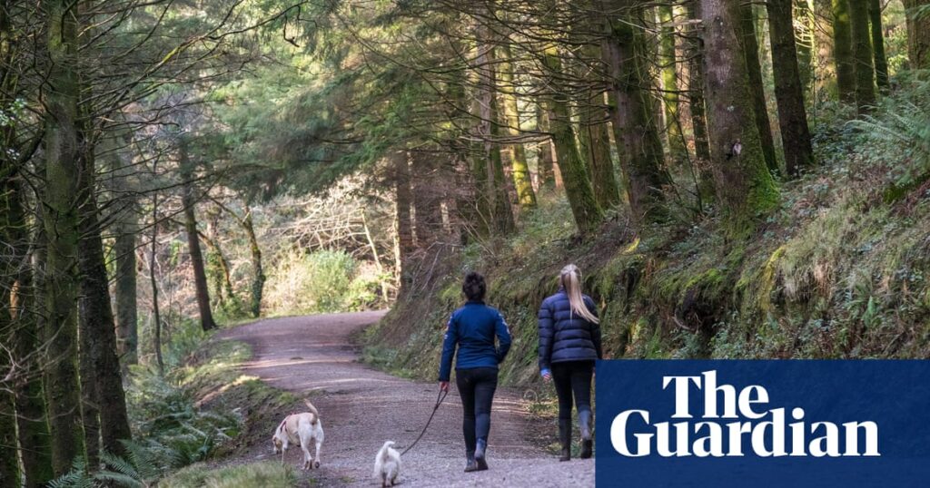 Defra scraps England deadline to register thousands of miles of rights of way | Access to green space