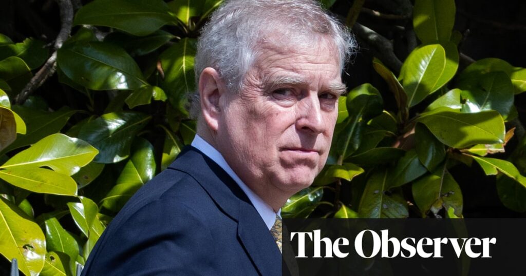 ‘Dubious’ use of the Freedom of Information act stopping access to files on Prince Andrew, researchers say | Prince Andrew