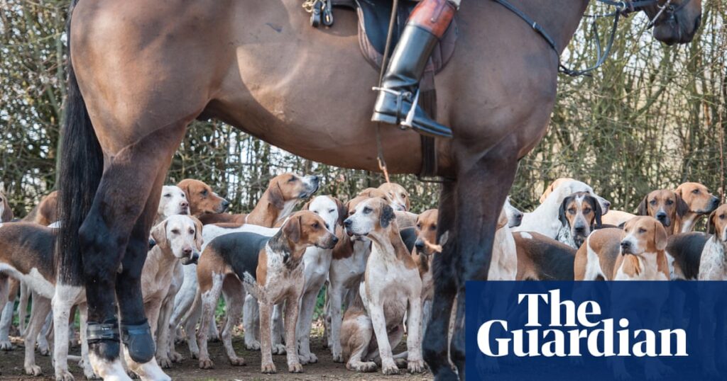 Calls for Labour to honour pledge to toughen anti-hunt laws | Hunting