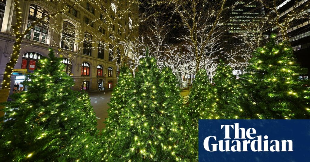 Researchers race to climate-proof Christmas tree production: ‘We’re up to the task’ | US news