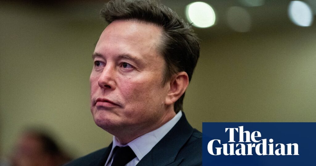 Elon Musk pens German newspaper opinion piece supporting far-right AfD party | Germany