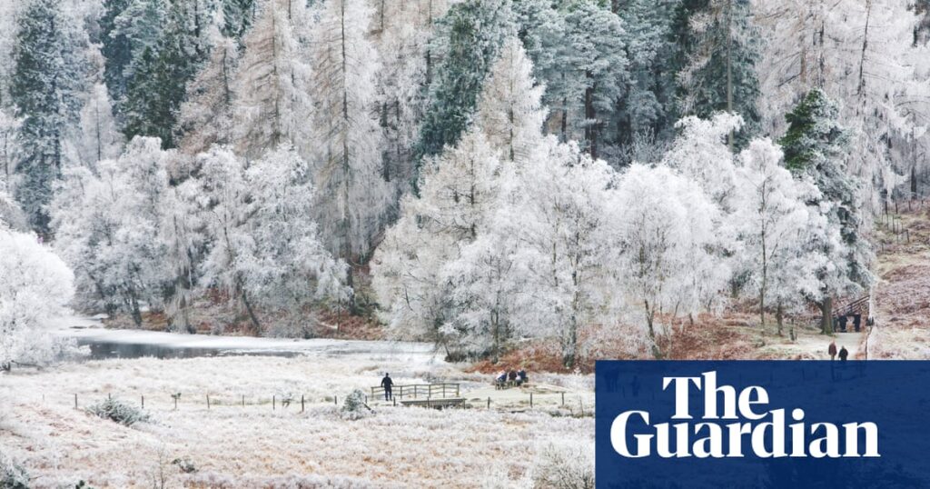 ‘At the top it’s a different world, crisp and pure’: readers’ favourite winter walks | Walking holidays