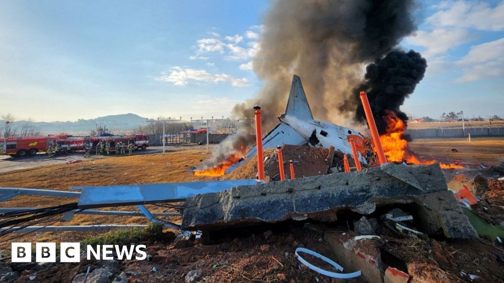 At least 28 dead at Muan airport