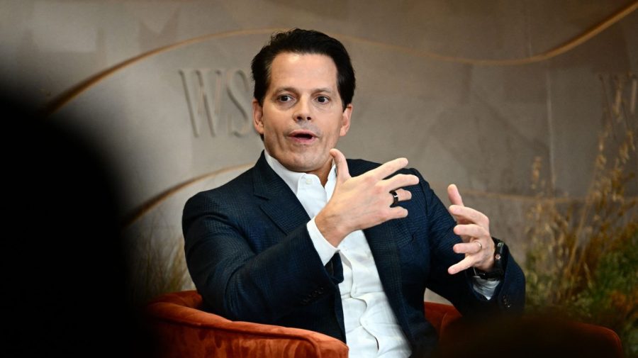 Scaramucci advises Musk to 'stick to business' because 'these people can hurt you'