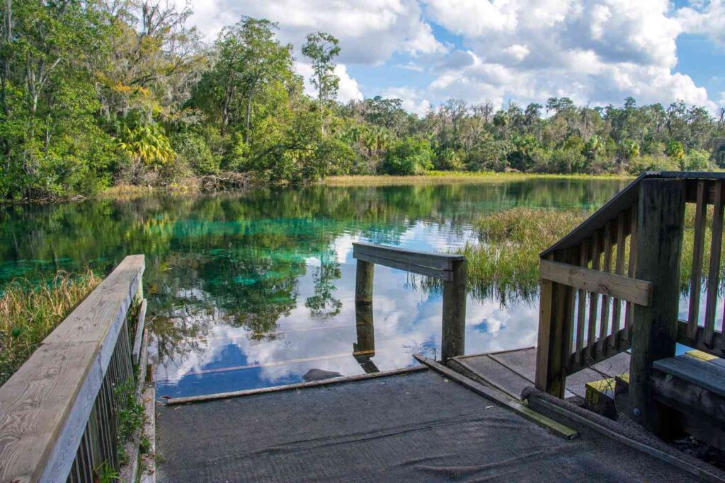 Guide to Florida's Blue Spring State Park