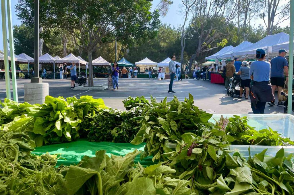 Why I Always Visit Farmers Markets When I Travel