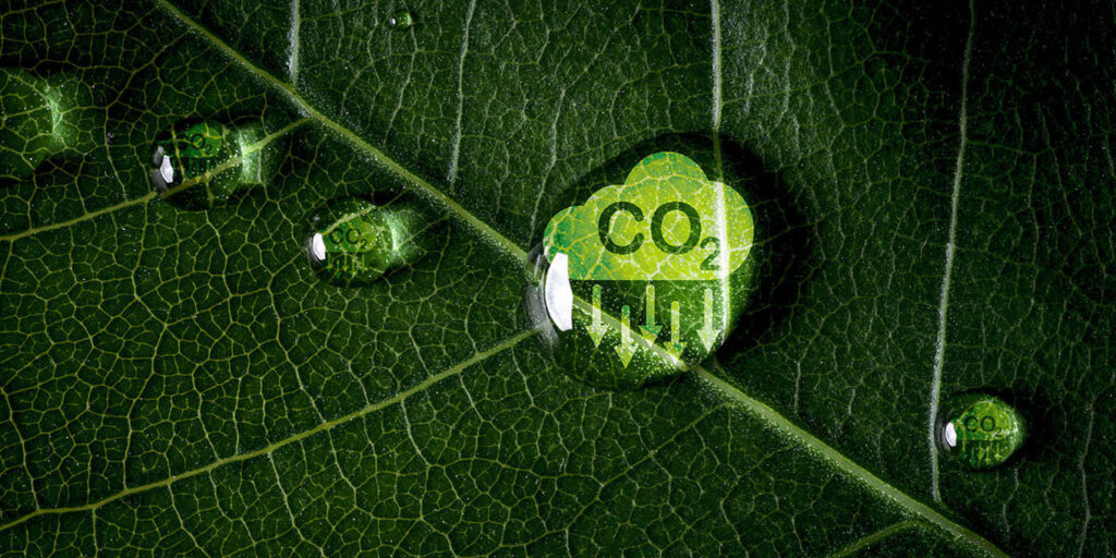 How the EU Can Scale Up Carbon Removal by Ludovic Chatoux & Sophia Escheu