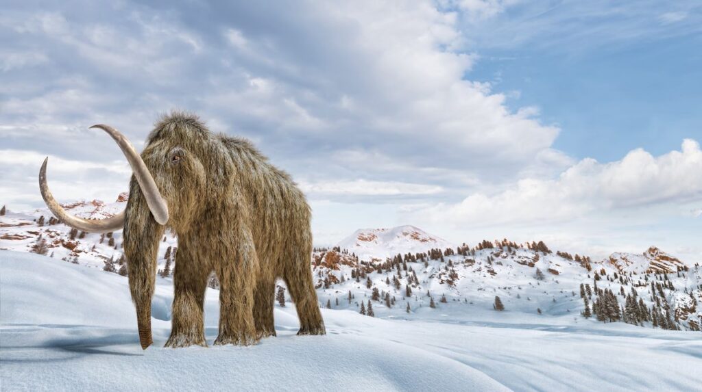 An Ice Age Infant's Bones Reveal Early Americans Ate Woolly Mammoths as a Protein Staple