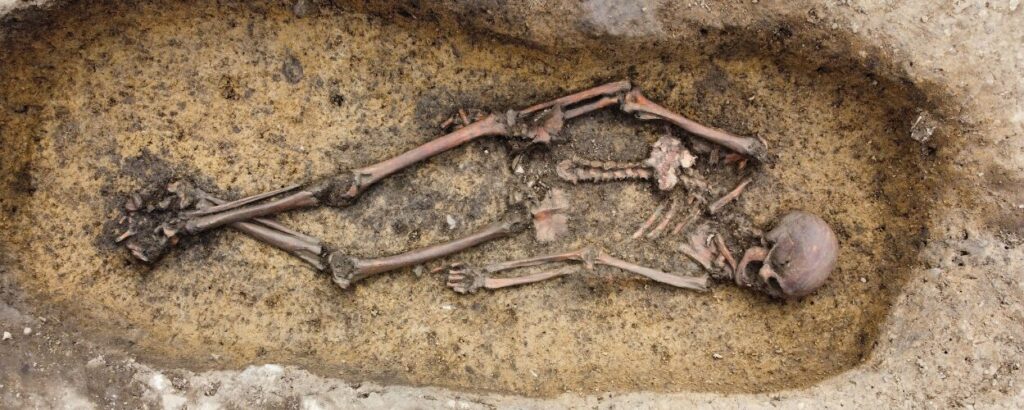 50 Viking Skeletons Discovered in Denmark