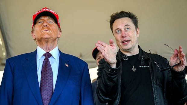 Trump backs Musk in MAGA-world rift over visa program for skilled workers