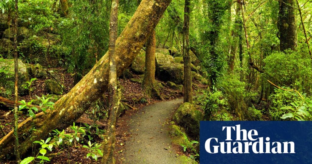 Skull of child or small person may have been deliberately placed in Gold Coast park, police say | Queensland