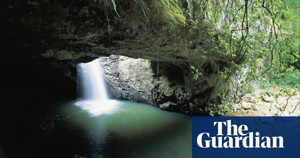 Suspected human bones found in Queensland national park | Queensland