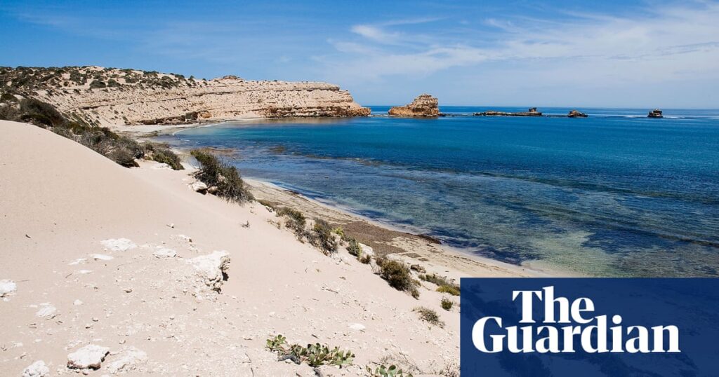 Surfer missing off South Australia’s west coast believed to be victim of shark attack | South Australia