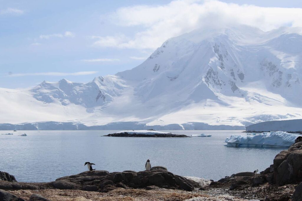 Antarctica Is the Top Adventure Destination of 2025, According to Virtuoso