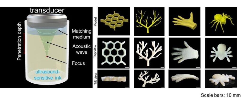 3D printing technique builds structures through tissues